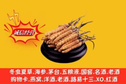 大方县求购回收虫草多少钱每克